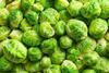 Brussel sprouts