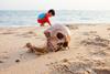 A photograph of a skull on a beach