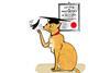 1217CW - Last Retort - cat diploma illustration