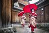 Maikos walking in the rain in Kyoto, Japan