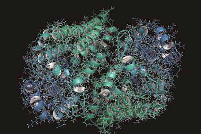 Indoleamine 2,3 dioxygenase 1 (IDO1) protein structure