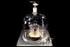 International prototype of the kilogram