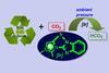 A scheme representing the catalytic conversion of CO2 to formate