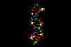 An image showing the crystyal structure of a hachimoji double helix