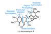 An image showing the structure of Jorunnamycin