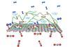 High-permeance polymer-functionalized single-layer graphene membranes