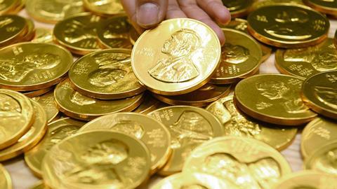 An image showing Nobel Prize medal shaped chocolate