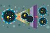 An illustration showng self-division of giant vesicles driven by an internal enzymatic reaction