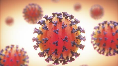 An image showing coronavirus particles