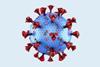 An image showing a coronavirus particle