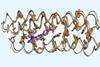 A molecular model of apixaban-bound ABLE.