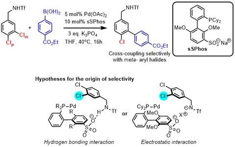 Image shows chemdraw for reactions such as Suzuki cross-coupling