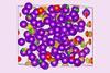 AIMD snapshots of potassium (purple), sites of qNN (green) and ELF = 0.7 isosurfaces (yellow)