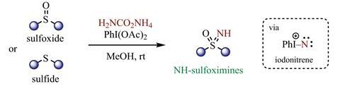 Sulfoximine synthesis