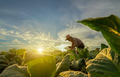 Agriculturist utilize the core data network in the Internet from the mobile to validate, test, and select the new crop method. Young farmers and tobacco farming