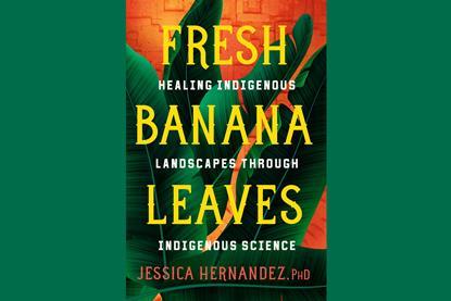 A cover of the book that features a drawing of large green leaves on an orange background. Over the top of the image, large captial letters spell out 'Fresh Banana Leaves'