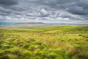 Grassy moorland