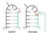 Chemistry-2015-2_300m