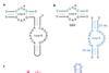 Freeze-thaw-cycles_nchem_300m