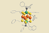 An image showing the crystal structure of the Au4Ru2(PPh3)2(SC2H4Ph)8 cluster