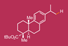 An image showing the tert-butyl ester of dehydroabietic acid