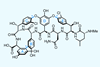 An image showing the structure of Vancomycin