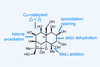 An image showing euonyminol