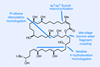 Bastimolide B